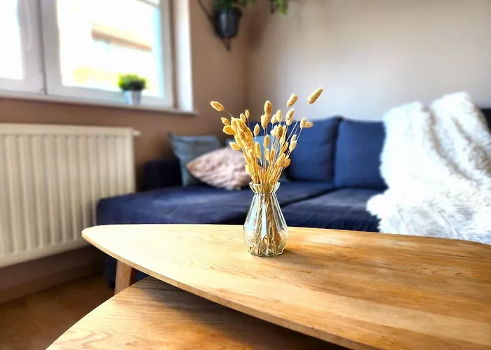 Appartamento Apartstars Powstancow #17 Rzeszów